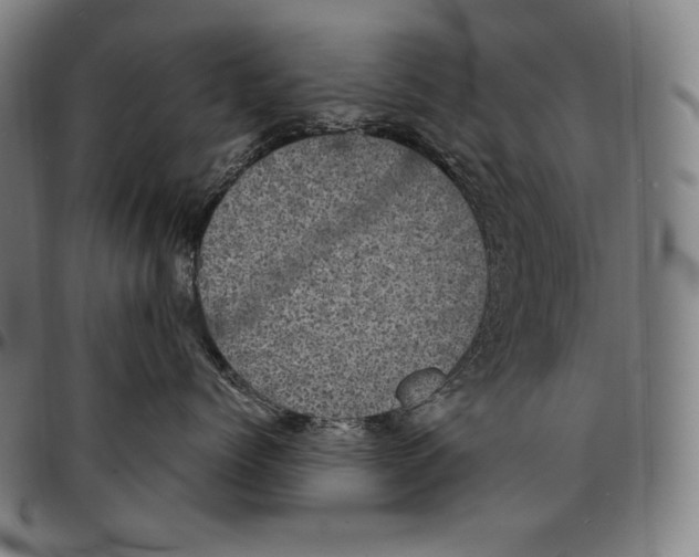 X0000095120768200801041223