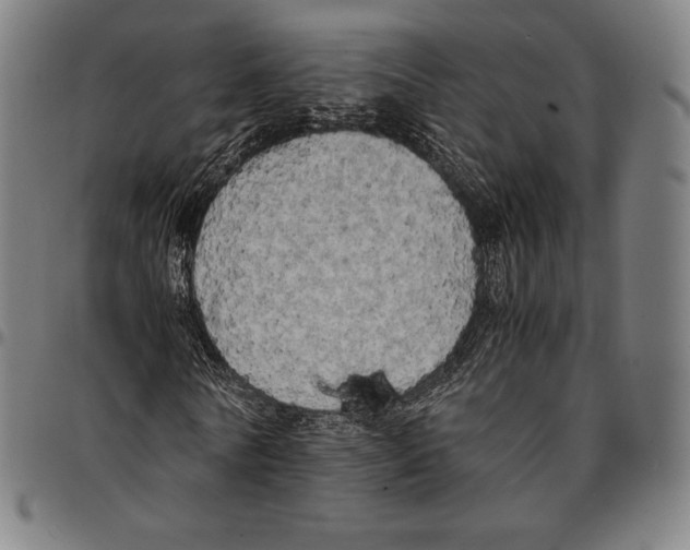 X0000095120770200801041222