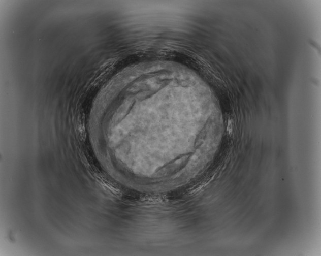 X0000095120771200801041222