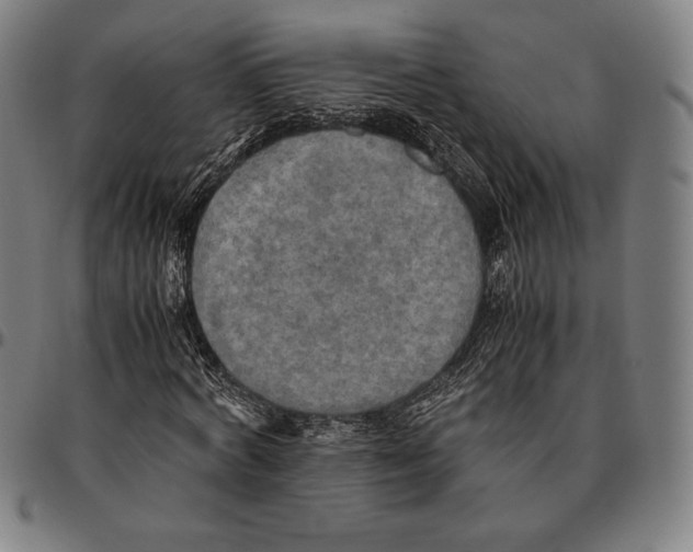 X0000095120772200801041222