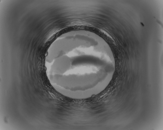 X0000095120775200801041222