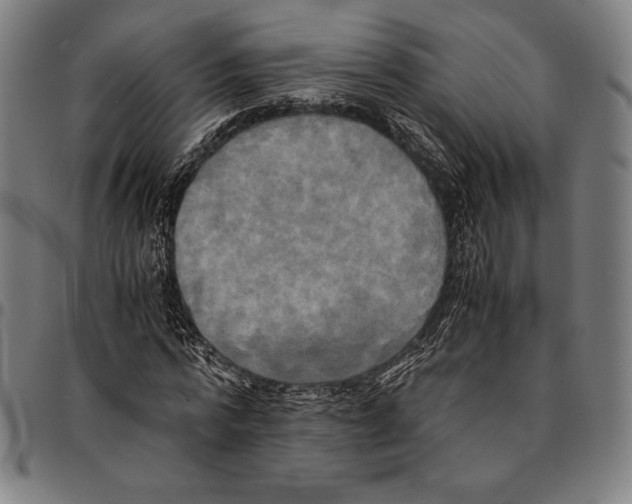 X0000095120776200801041222