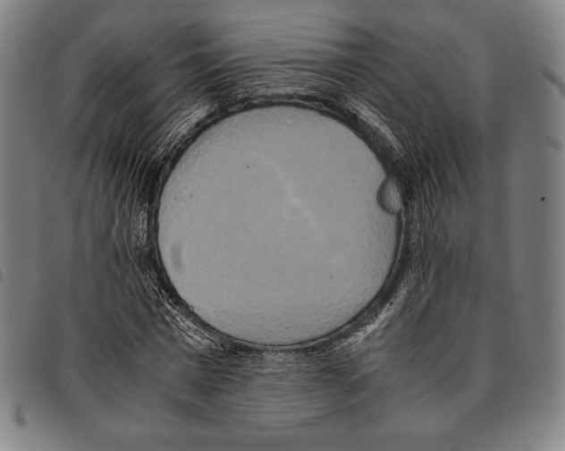 X0000095120777200801041222