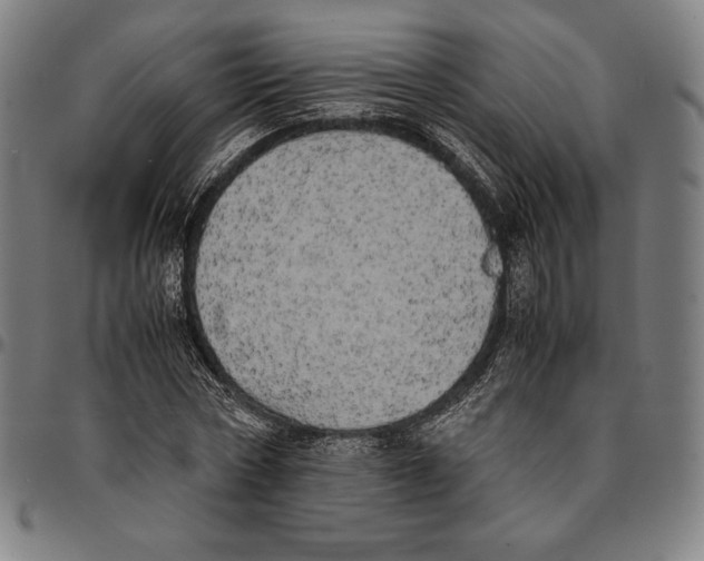 X0000095120778200801041222