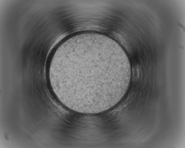 X0000095120780200801041222