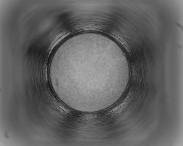 X0000095120782200801041222