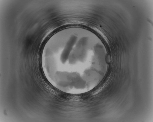 X0000095120783200801041222