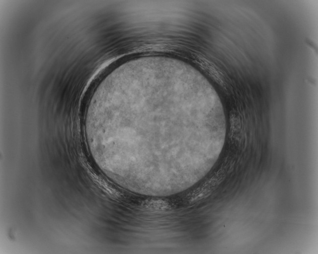 X0000095120784200801041222