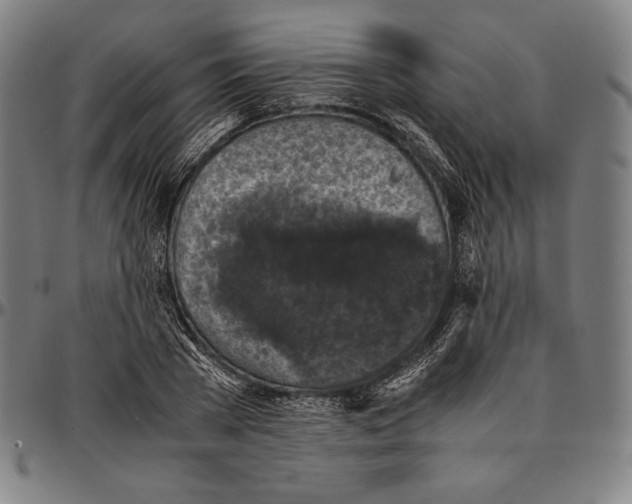 X0000095120785200801041222