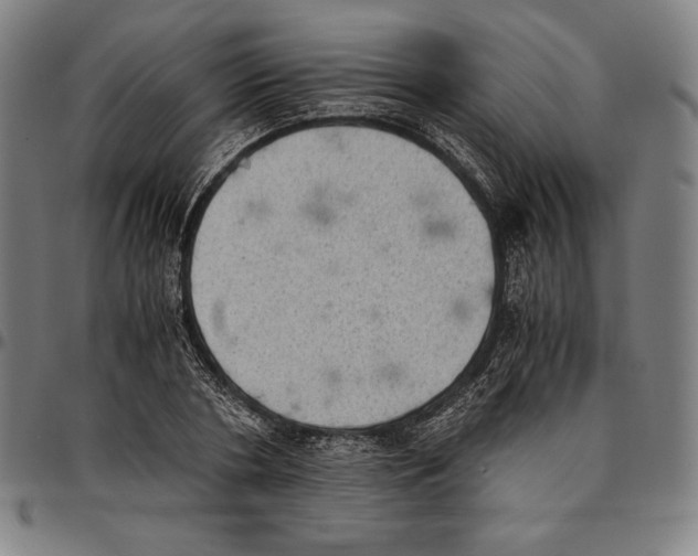 X0000095120786200801041222