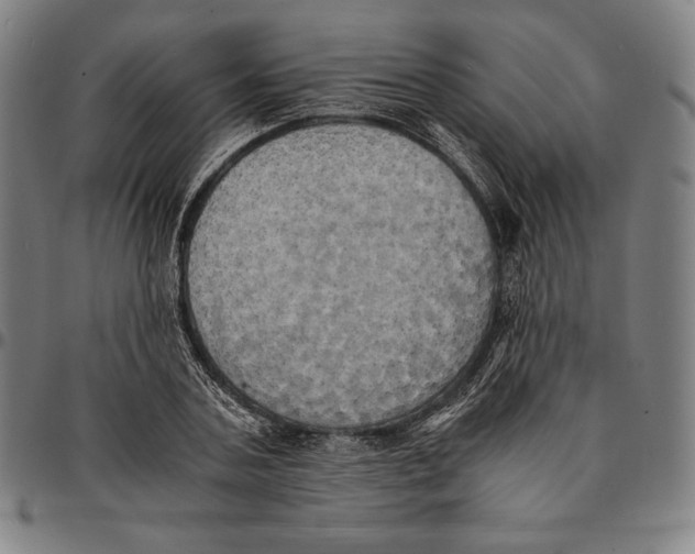 X0000095120787200801041222