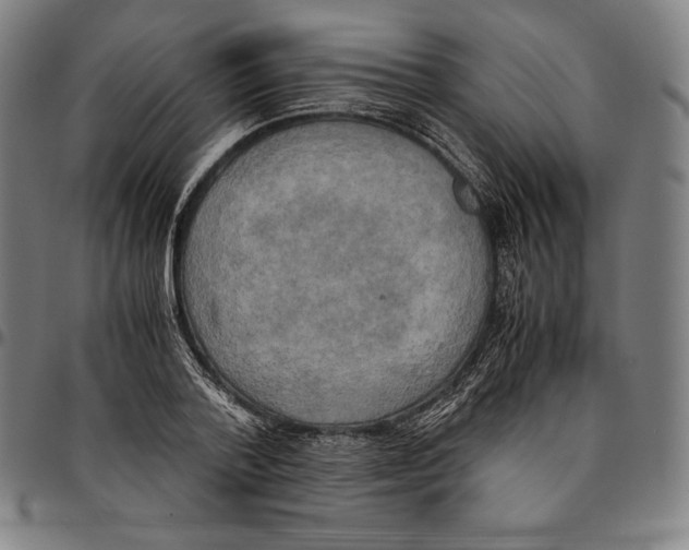 X0000095120788200801041222