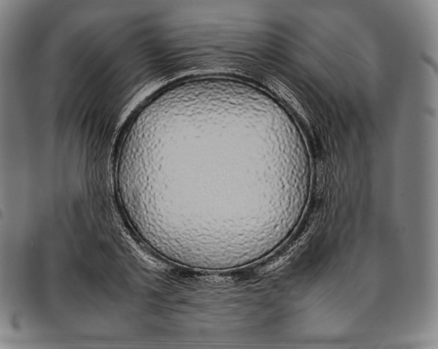 X0000095120789200801041222