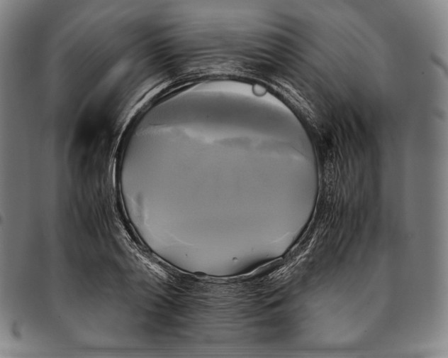 X0000095120790200801041222