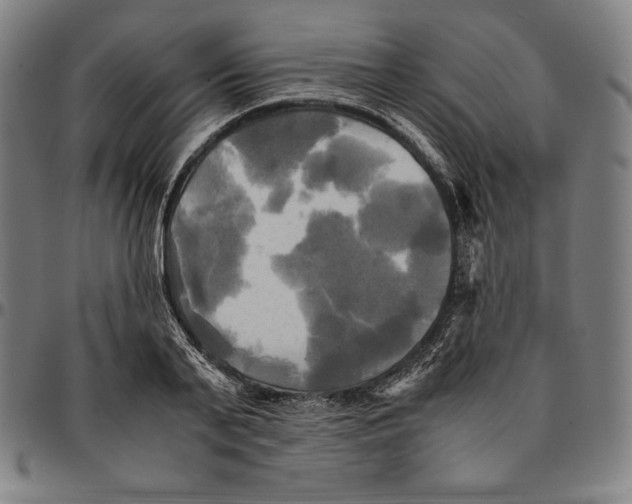 X0000095120791200801041222