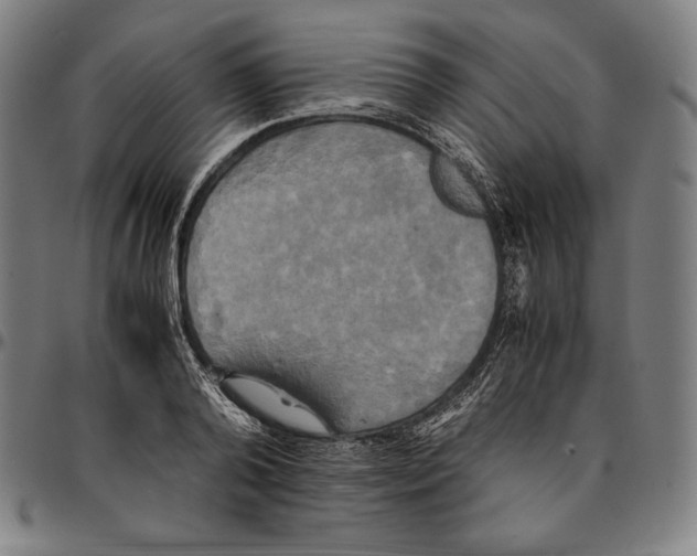 X0000095120792200801041222