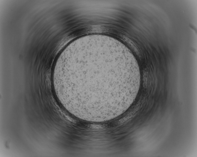 X0000095120794200801041222