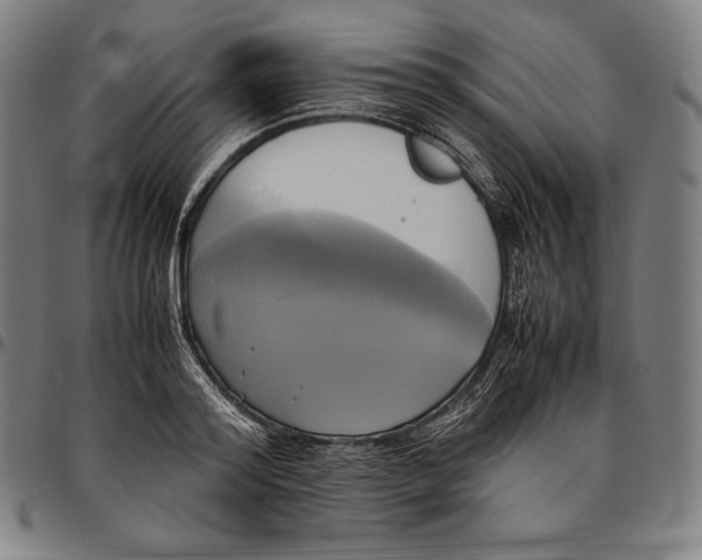 X0000095120796200801041222