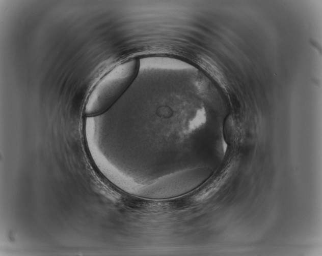 X0000095120797200801041222