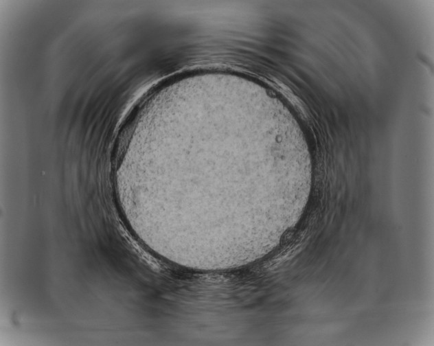 X0000095120799200801041222