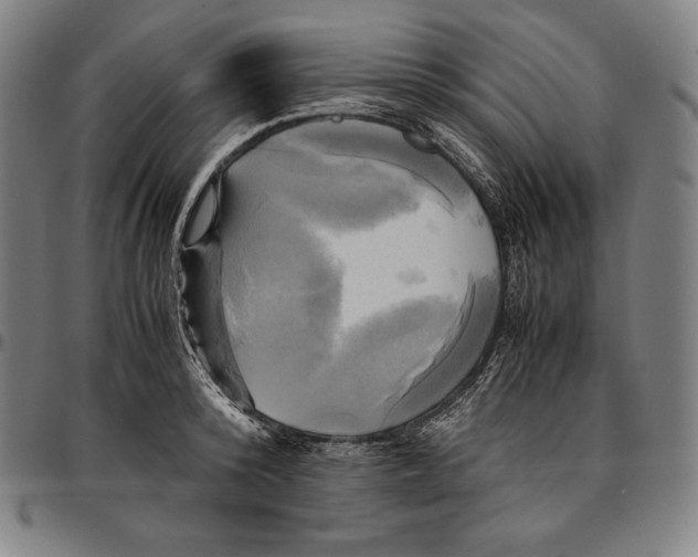 X0000095120800200801041222