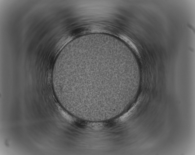 X0000095120801200801041222