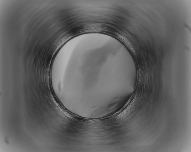 X0000095120802200801041222