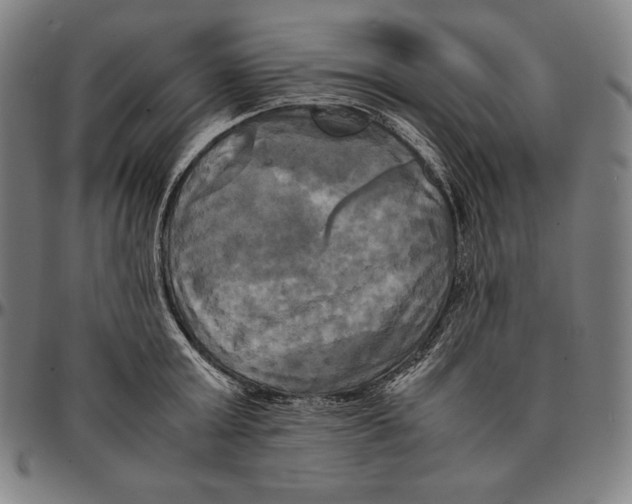 X0000095120803200801041222