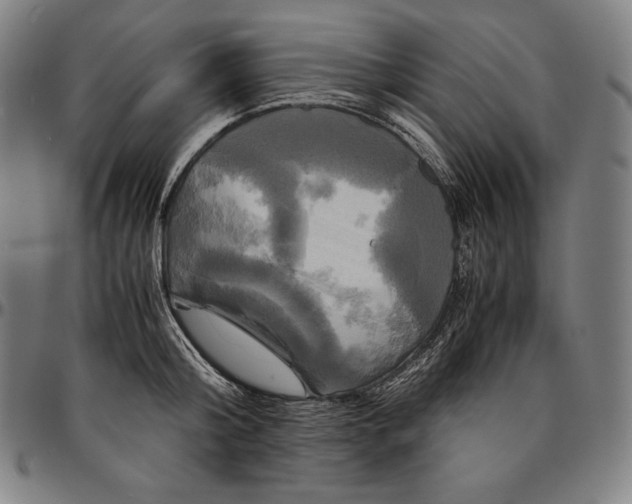 X0000095120804200801041222