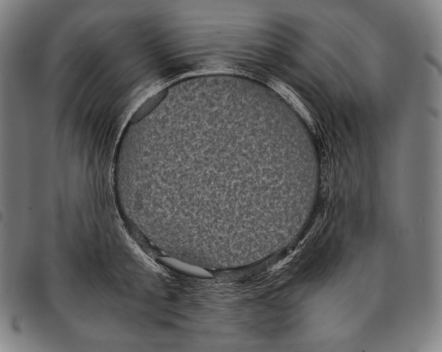 X0000095120805200801041222