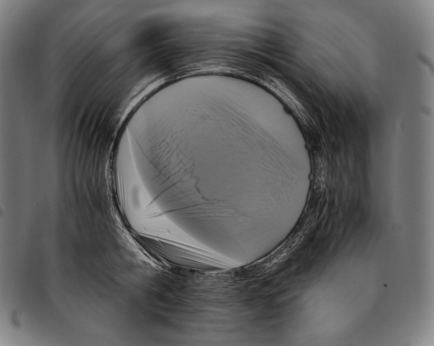 X0000095120806200801041222