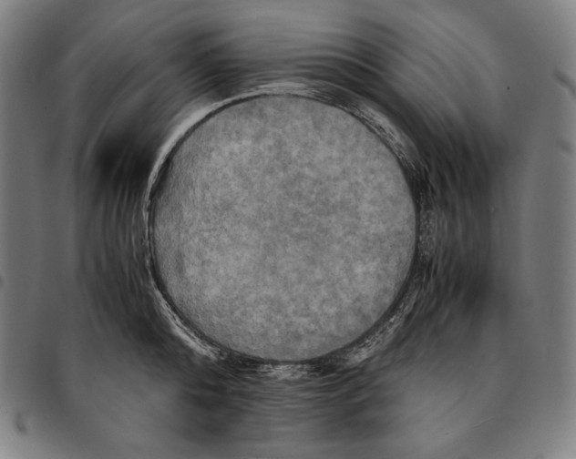 X0000095120808200801041222