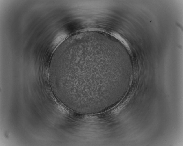 X0000095120809200801041222