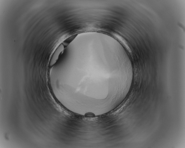 X0000095120810200801041222