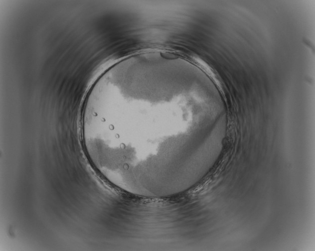 X0000095120811200801041222