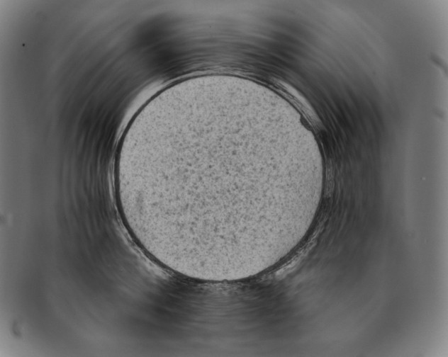 X0000095120812200801041222