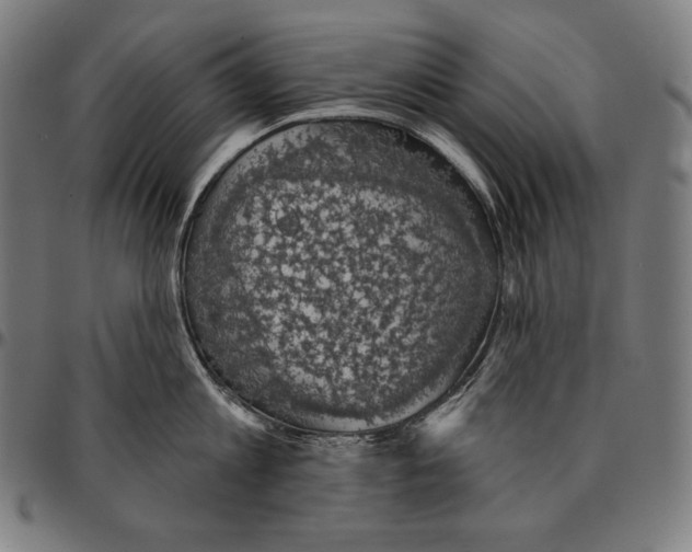 X0000095120813200801041222