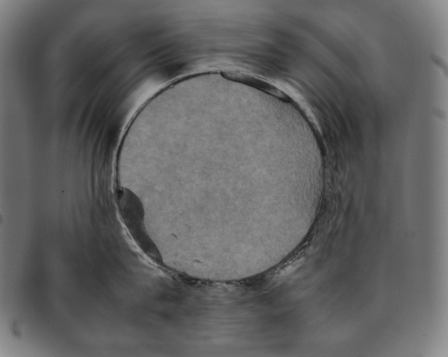 X0000095120815200801041222