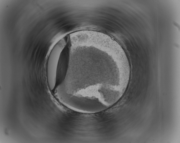 X0000095120816200801041222