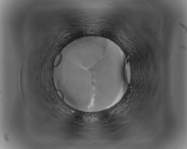 X0000095120817200801041221