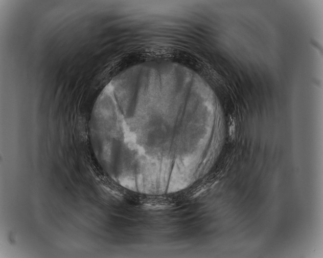 X0000095120819200801041221