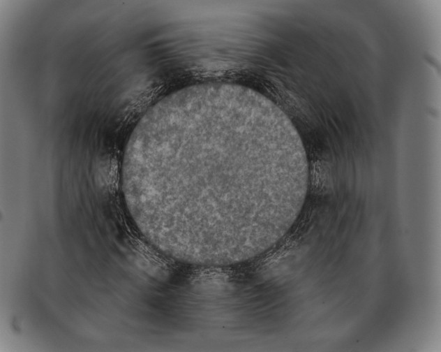 X0000095120820200801041221