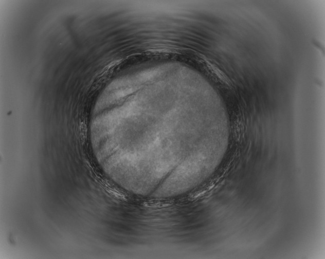 X0000095120821200801041221