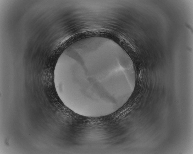 X0000095120822200801041221