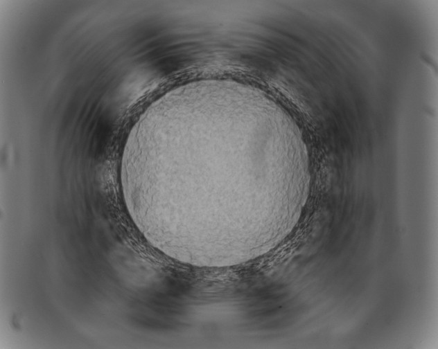 X0000095120824200801041221