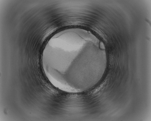 X0000095120826200801041221