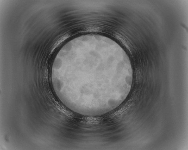 X0000095120827200801041221