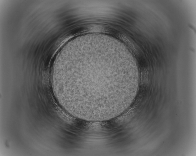 X0000095120828200801041221