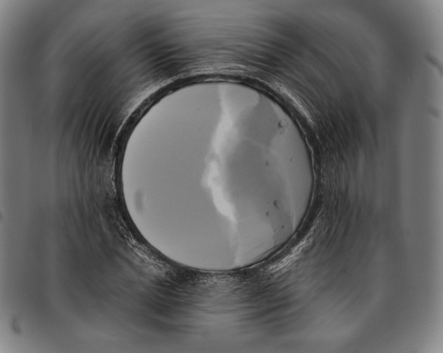 X0000095120830200801041221