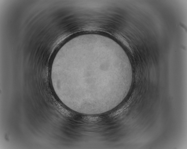 X0000095120831200801041221